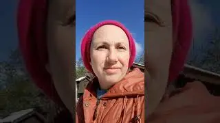 мороз и солнце в мае #дача #клубника #заморозки