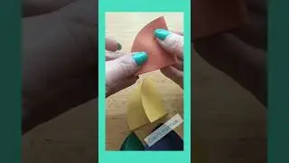 Зонтики