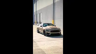 Sandstorm Mustang GT 🌵