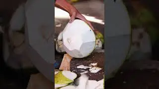 Amazing Skills Coconut Juice🥥 | Laos Food | Laos🇱🇦 | Pakse #shorts