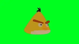 Angry bird (yellow) dancing green screen