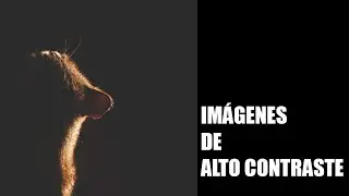71 IMAGNES DE ALTO CONTRASTE