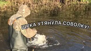 ЗАБИТАЯ СОВОЛКА КАРАСЯМИ!СДЕЛАЛ НОВЫЙ ПЛОТИК!?