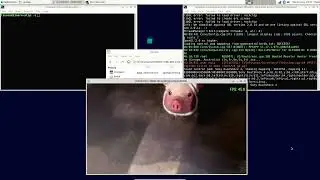 Geniatech XPI-3566 Zero Software Test