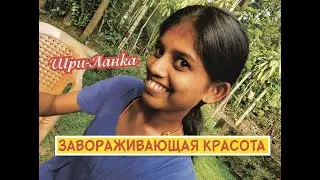 Шри-Ланка 2023. Обзор виллы в Хиккадуве. Главное блюдо ланкийцев и мастер-класс по надеванию саронга