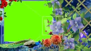Green screen background flower animation effects frame video