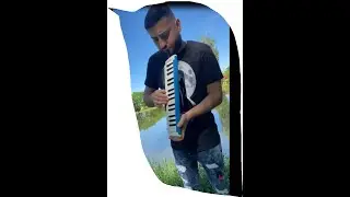 Daniel Dinescu | Instrumental | 4K 2022