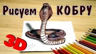 How to draw a snake 3D