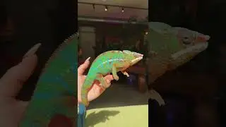 НОВОЕ ВИДЕО УЖЕ НА КАНАЛЕ 🔥 