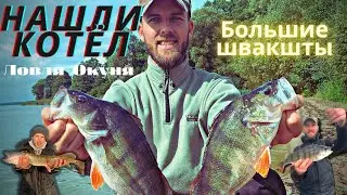 ОГРОМНЫЕ ОКУНИ на ДЖИГ | Ловля на ТЕЙЛ-СПИННЕР.