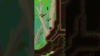 spider *bonk*