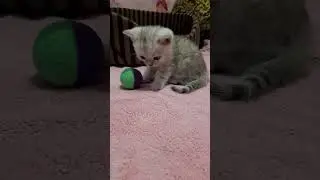 Малюк💕💕💕💕 