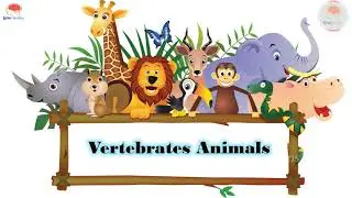 Animal Classification : Vertebrates Animals and its types | Explained with Cartoon Examples