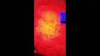 NanoMatriX QC Video 
Pura Security Fibers
2024-05-20