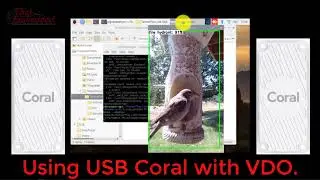 Tensorflow Lite with Google Coral on Raspberry Pi4 [show case]