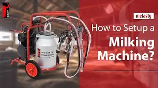 How to Set Up a Milking Machine