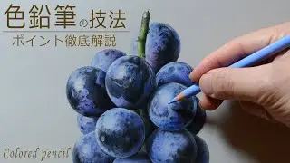 【イラストメイキング】色鉛筆でリアルな葡萄の描き方「画材紹介」/スーパーリアリズム