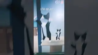 хахахщ