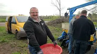 No-till та Dekalb... 6 топових гібридів на нулі і без добрив ...