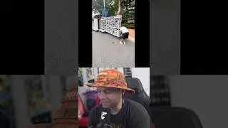 Sneaker Resellers Are Evolving!