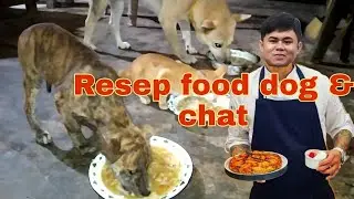 cara membuat makanan anjing dan kucing yang sehat dan bergizi. (Resep makanan anjing dan kucing).