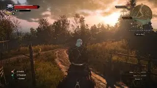 Family Matters quest - The Witcher 3: Wild Hunt