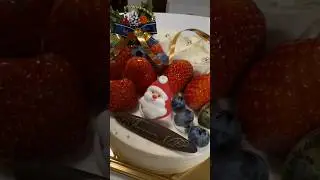Tokyo Noel Delights: A Merry Christmas Eve in Japan 2023🎄🇯🇵