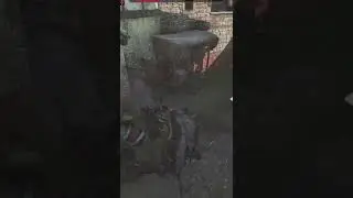 Mount & Blade 2 Bannerlord World of Warcraft Mods 6