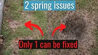 Most Common Winter Damages & What You Can Do About it!