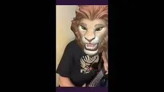Bogdan Giurea - The Lion Slash - Tik Tok - live