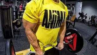 Bench Press: The Path to 200 kg. Bazooka Arms