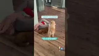 Жизненная семейная ситуация 😂😄
