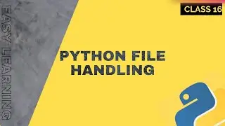 Python File Handling: Exploring the Power of Input and Output Functions|Class16|Python Bootcamp 2023