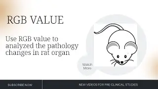 Use RGB value to analyzed the pathology changes in rat organ