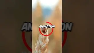 How To Make a Circle Outline Animation in Premiere Pro