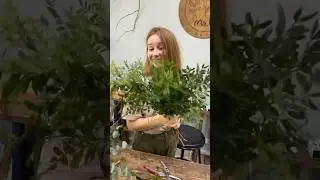 Gray take me to the forest