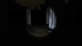 Лайкер играет Survivers Beta 3