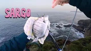 Primeros sargos con la YUKI en jornada express