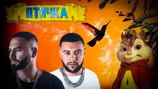 HammAli & Navai - Птичка (БУРУНДУКИ) // Бурундуки поют - Птичка (HammAli & Navai)