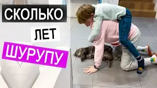 ВЛОГ: Почему мы назвали кота Шурупом ? | Отвечаем на вопросы про кота |  14.11.20