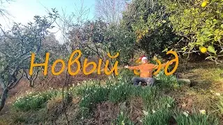 Один не дома. Сочи, Абхазия.