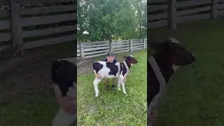 Русский Богатырь !
