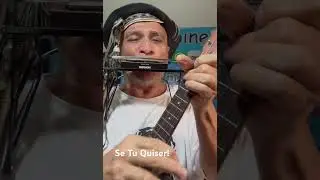 Se Tu Quiser