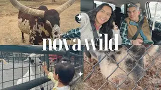 NOVA WILD ZOO DAY in the DMV