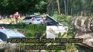POHON TUMBANG TIMPA MOBIL ERTIGA#GUNUNG GUMITIR