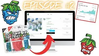 Set Up Shopify Store Step By Step 2021 (Episode #2)