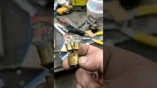 CUSTOM Taillight Bulb