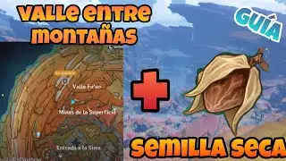 Como desbloquear el dominio 