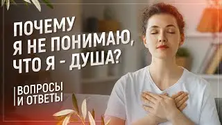 39 | Почему я не понимаю, что я - душа?