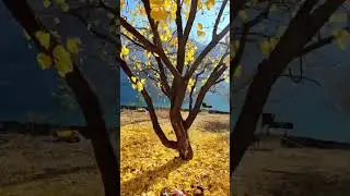 📍Новый Унцукуль, Унцукульский район